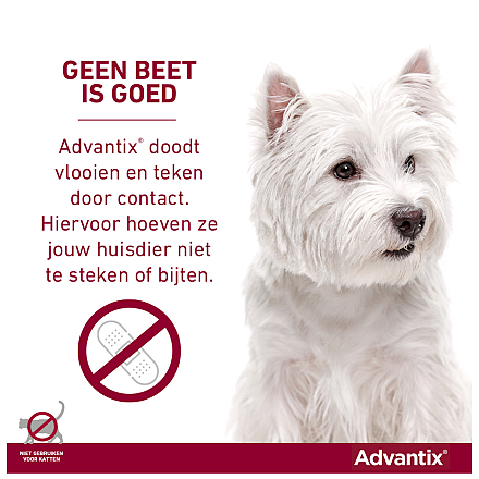 Advantix 250 6 pipetten