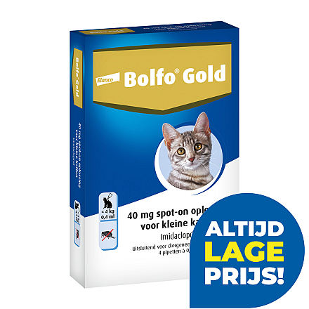 Bolfo Gold kat 40 <br>4 pipetten