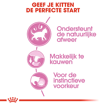 Royal Canin kattenvoer Kitten in Jelly <br>12 x 85 gr