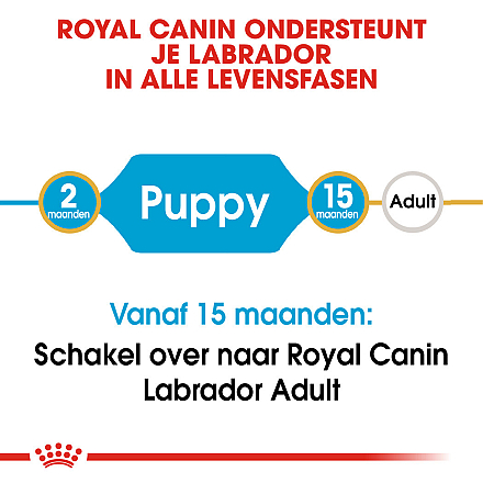 Royal Canin hondenvoer Labrador Retriever Puppy 12 kg